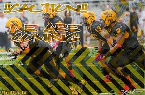 Image post by @griffonfootball on Instagram