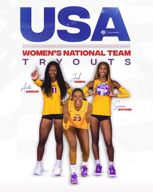 Image post by @lsuvolleyball on Twitter