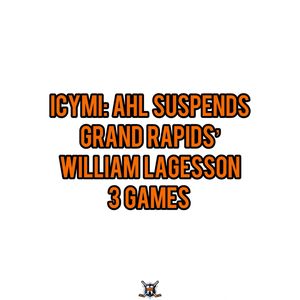 Image post by @hockeyfights on Instagram