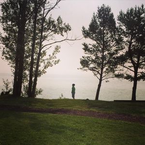 Image post by @lifesadiscoball on Instagram