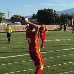Image post by @palma_school on Instagram