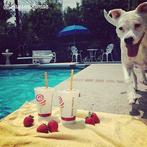 Image post by @jambajuice on Instagram
