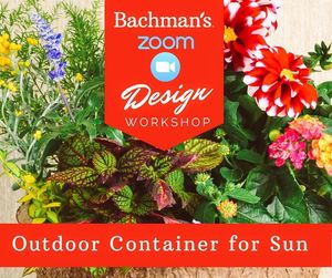 Image post by @shopbachmans on Instagram