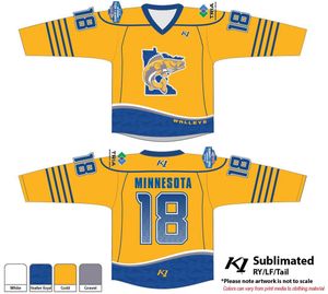 Image post by @officialminnhockey on Instagram