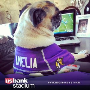 Image post by @usbankstadium on Instagram