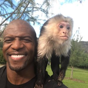 Image post by @animalplanet on Instagram