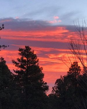 Image post by @nauflagstaff on Instagram