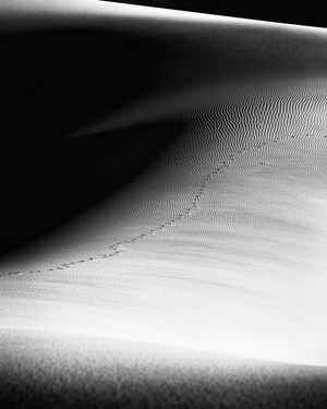 Image post by @jpotterphoto on Instagram