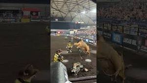 Video post by @pbr on YouTube