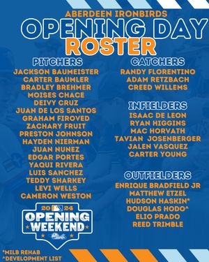 Image post by @aberdeenironbirds on Instagram