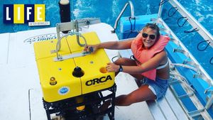 Image post by @calwlax on Instagram