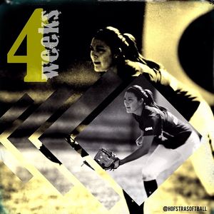 Image post by @hofstrasoftball on Instagram
