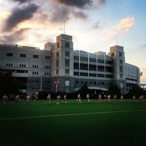 Image post by @hokiessoftball on Instagram