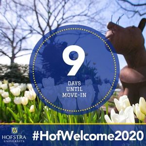 Image post by @hofstrau on Instagram
