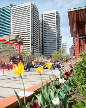 Image post by @cityofcalgary on Instagram