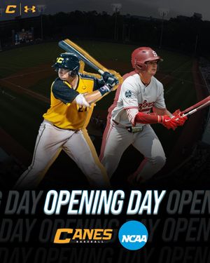 Image post by @thecanesbb on Instagram