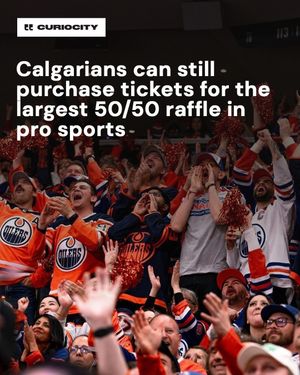 Image post by @curiocitycalgary on Instagram