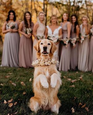 Image post by @she_saidyes on Instagram