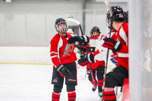 Image post by @USPHLjrcanes on Twitter