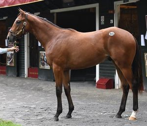 Image post by @spendthriftfarm on Instagram