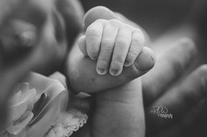 Image post by @rpwphotography_mi on Instagram