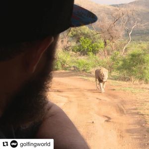 Image post by @beefgolf on Instagram
