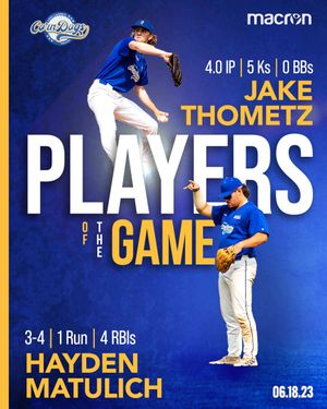 Image post by @lakecocorndogs on Twitter