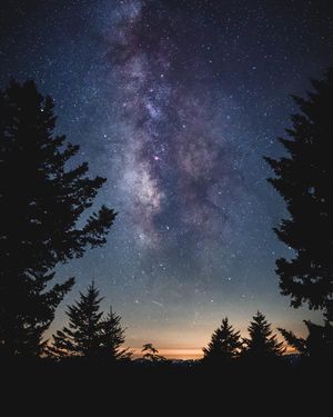 Image post by @1988cophotos on Instagram