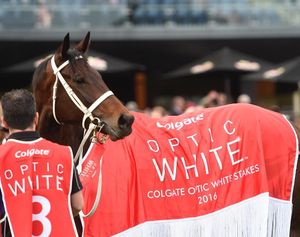 Image post by @australianturfclub on Instagram