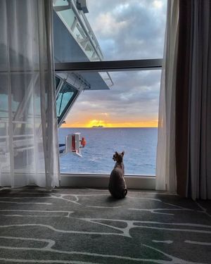 Image post by @legrandinavidacrociera on Instagram