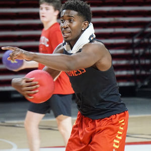 Image post by @terrapinhoops on Instagram