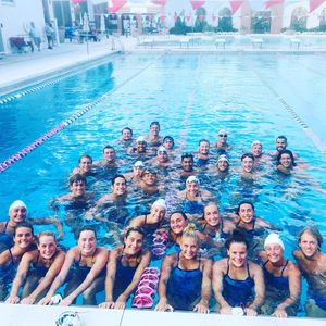 Image post by @nsu_swim on Instagram