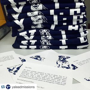 Image post by @yalevolleyball on Instagram