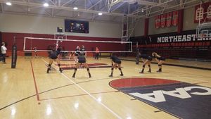 Image post by @harvardwvball on Instagram