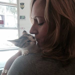 Image post by @animalplanet on Instagram
