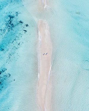 Image post by @dronepals on Instagram