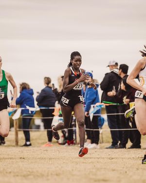 Image post by @texastechtf on Instagram