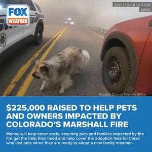 Image post by @foxweather on Instagram