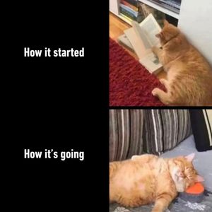 Image post by @9gag on Instagram