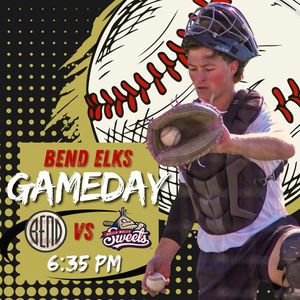 Image post by @bendelksbaseball on Instagram