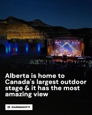 Image post by @curiocitycalgary on Instagram