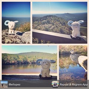 Image post by @uncadmissions on Instagram