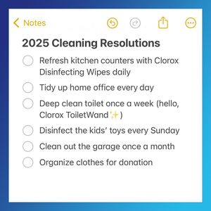 Image post by @clorox on Instagram