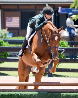 Image post by @gracescreative on Instagram