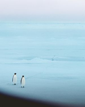 Image post by @natgeotv on Instagram