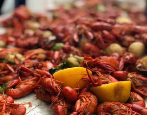 Image post by @lafishfry on Instagram