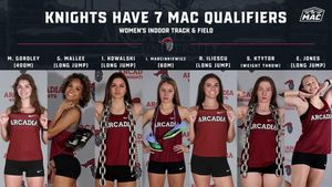 Image post by @arcadia_knights on Instagram