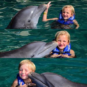 Image post by @stephanielinnartz on Instagram