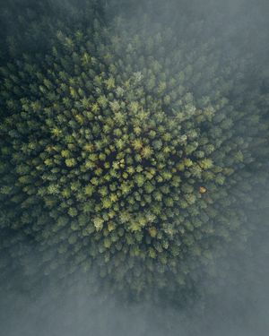 Image post by @dronepals on Instagram
