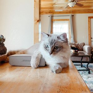 Image post by @bose on Instagram